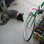 Bikes 012.jpg