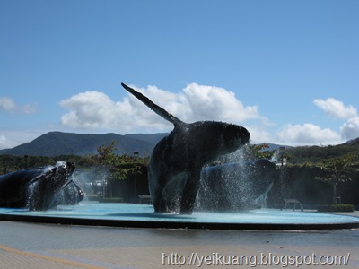 鯨魚親水廣場