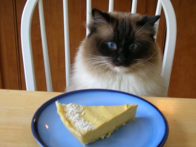 [Lemon tart Murphy[3].jpg]