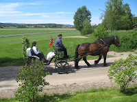 mainea05.jpg