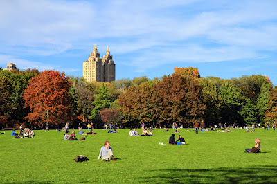 The Great Lawn in Central Park