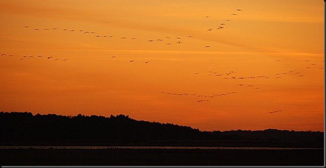 DSC_9773 DSC_9773