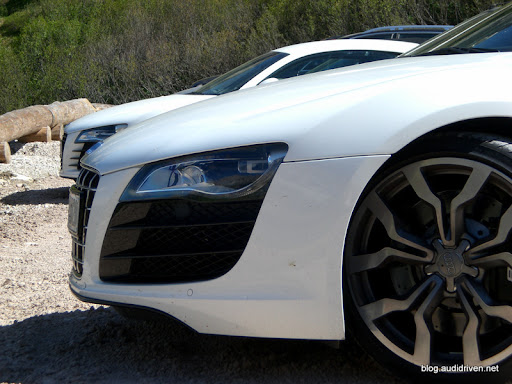 Audi R8 White Background. A small Brother of our Audi R8