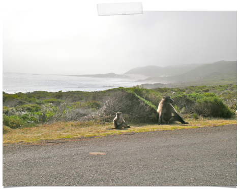 [Screen-shot-2011-02-09-at-10.32.43-P[4].png]