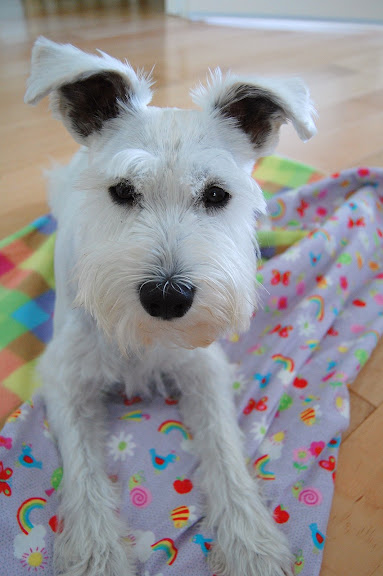 I love my new blanket! Its the best ever!