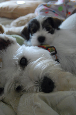 Bed time for the kids!