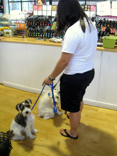 Maui and Hilo dont seem to be too interested in Glimmer Mist! LOL!