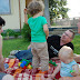 DSC_0946.jpg