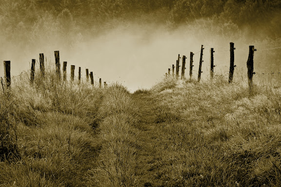 camino