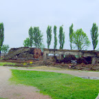 DSCF7156.JPG
