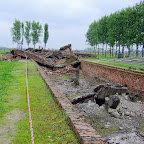 DSCF7191.JPG