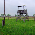 DSCF7215.JPG
