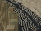 Rippling Fence (grande plano)