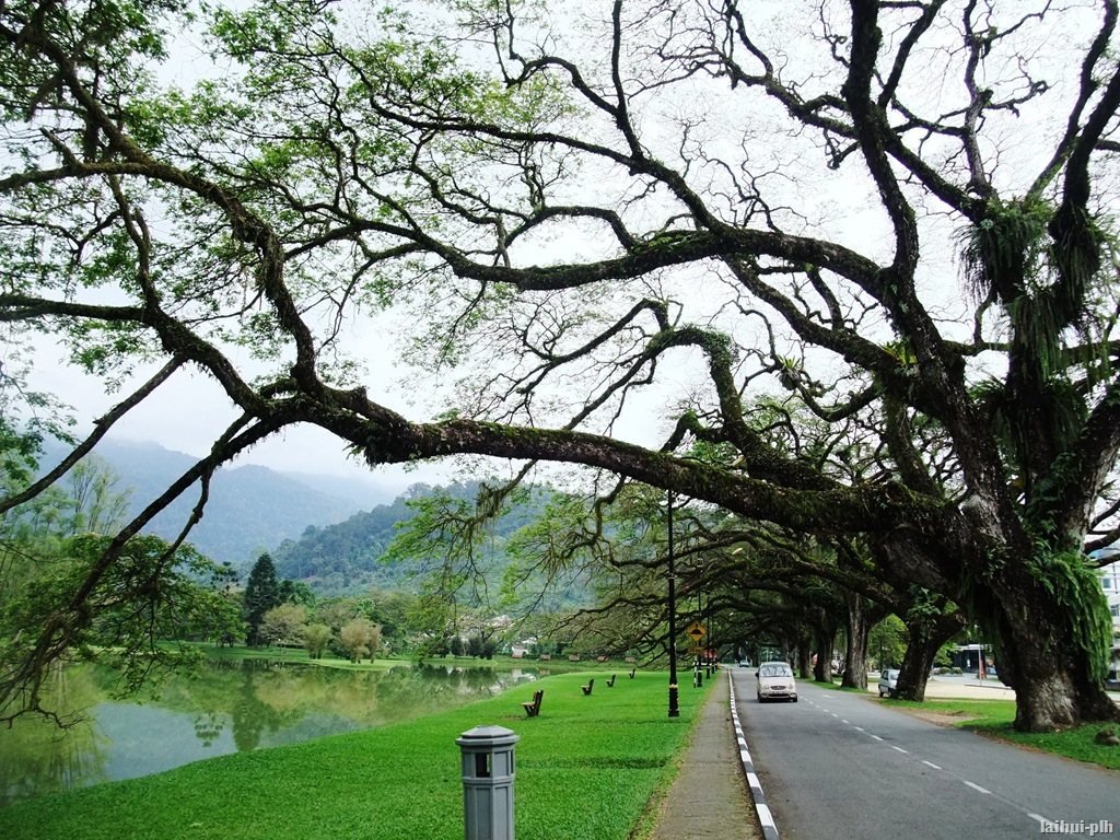 [DSCF60704.jpg]