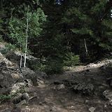 IMG_0969.jpg