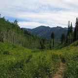 IMG_1011.jpg