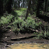 IMG_0888_sm.jpg