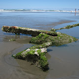 oregon2007_08.jpg