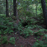 oregon2007_06.jpg
