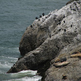 oregon2007w_05.jpg