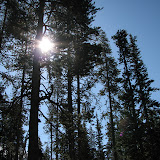 oregon2007_28.jpg