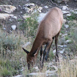 IMG_0016_sm.jpg