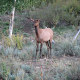 IMG_0021_sm.jpg