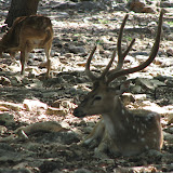 IMG_0153.JPG
