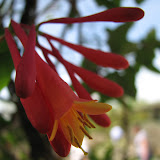 IMG_0206.JPG