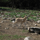 IMG_0186.JPG