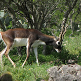 IMG_0198.JPG
