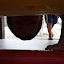 P1010844.JPG