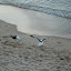 P1030504.JPG