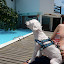 P1030646.JPG