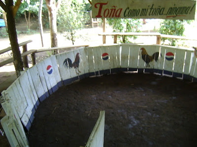 http://lh5.ggpht.com/_JhwvZZ52agw/SRDnSJXIEbI/AAAAAAAABlI/1SO7k1h_p9o/s400/DSC00737.JPG