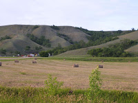IMG_1086.JPG