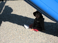 IMG_1529.JPG