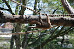 DSC_6869.JPG