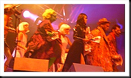 VL2009 175