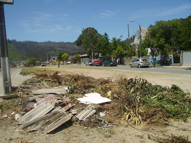 Basural en la entrada de Dichato