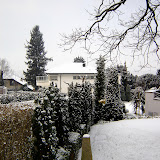 Topijari zima