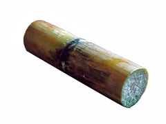 sugarcane-(3)