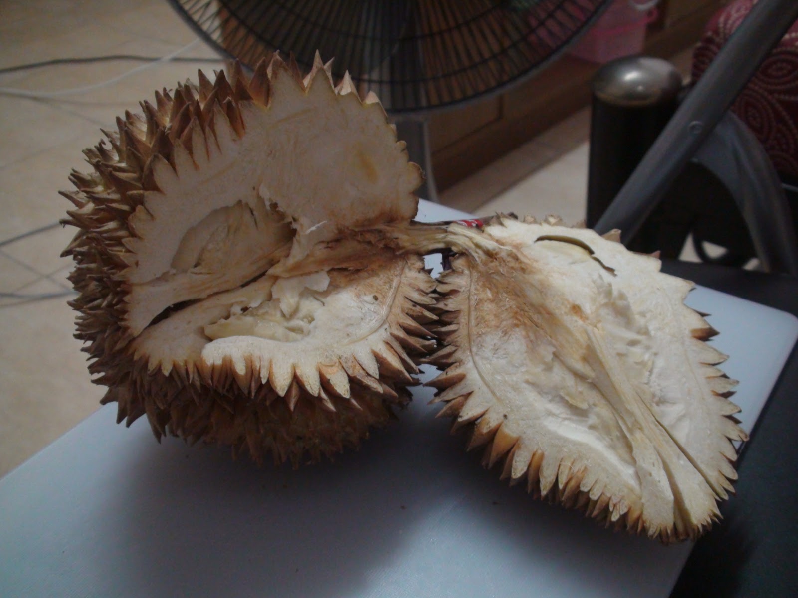 [durian132.jpg]