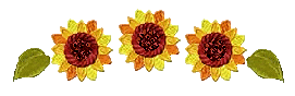 [sunflrdivx[4].png]