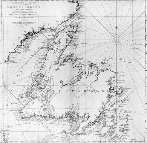 [Cooks 1775 chart of Newfoundland[3].jpg]