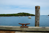 DSC_02750001.JPG