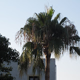 2010-07-19 Kreta 007.JPG