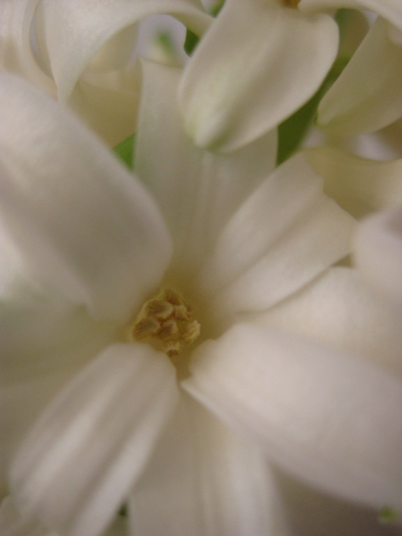 [IMG_06314.jpg]