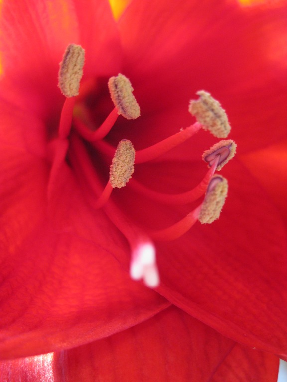 [IMG_07103.jpg]