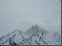 DSCN6554